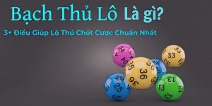 bạch thủ lô