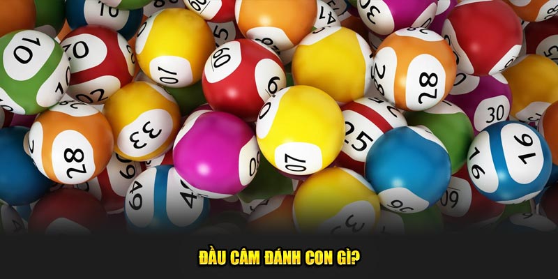 Đầu câm đánh con gì?