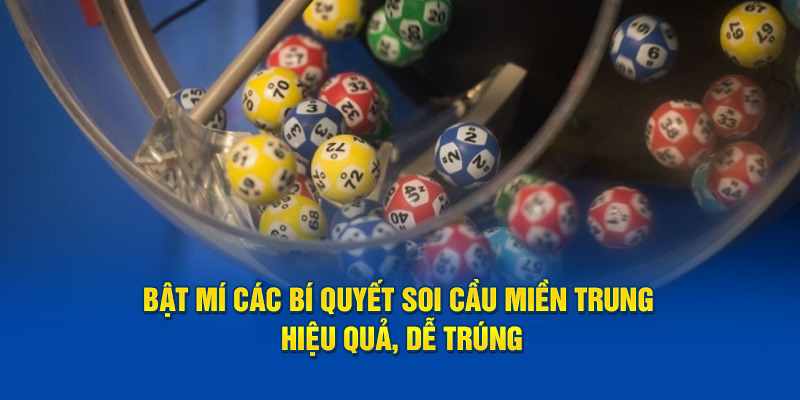 Soi Cầu Miền Trung