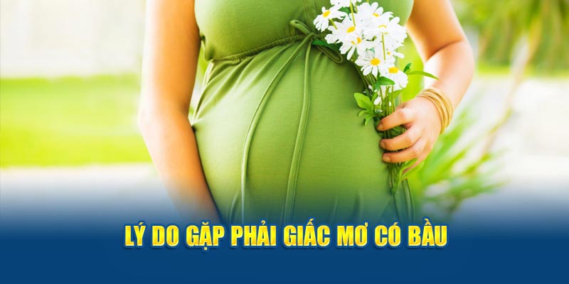 Lý do gặp phải giấc mơ có bầu