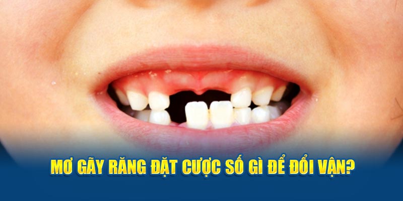 Mơ gãy răng đặt cược số gì để đổi vận?